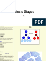 Meiosis Stages 1