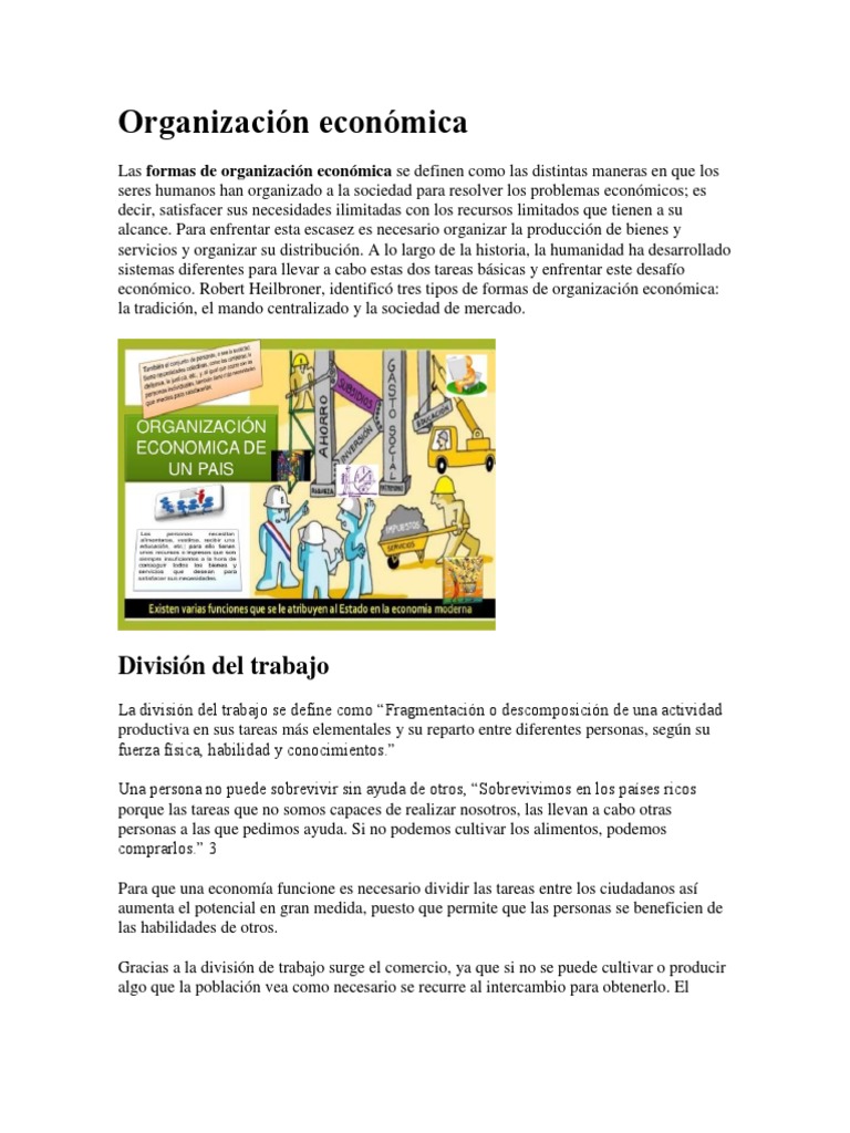 Organización Económica PDF Aprendizaje Cognición