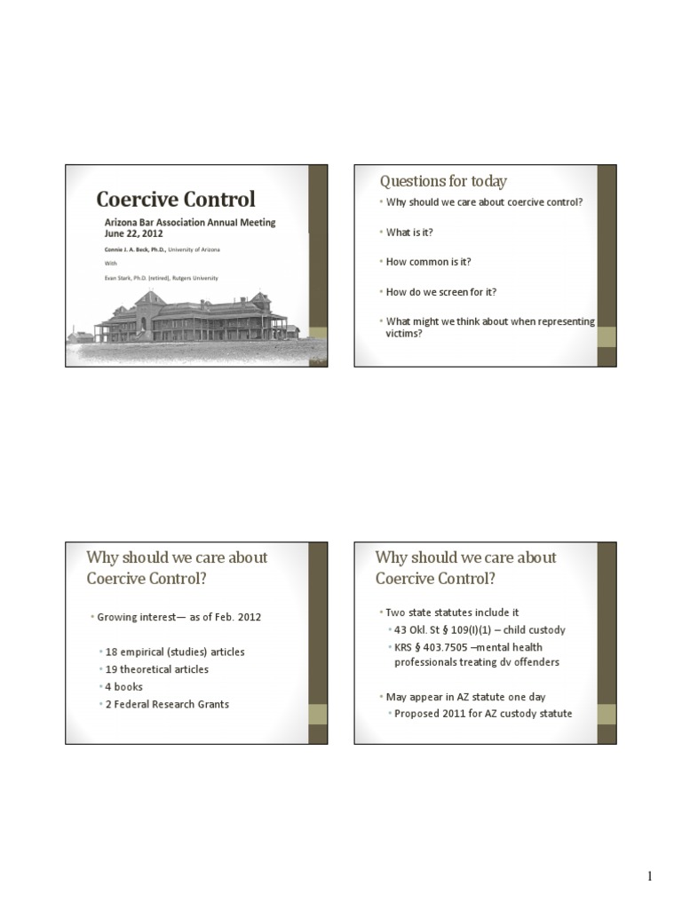Coercive Control Screening Insights | PDF | Domestic Violence | Violence