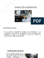 Contaminación Ambiental