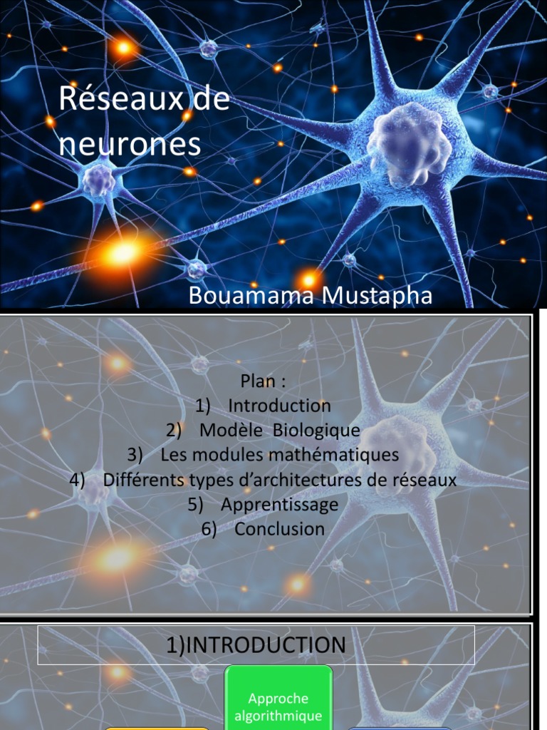 Neurones biologiques et artificiels | PDF | Réseau de neurones ...
