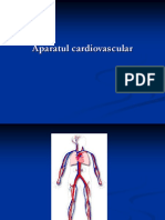 Anto LP Cardio-vasc.ppt