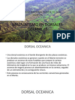 Magmatismo en Dorsales Oceanicas