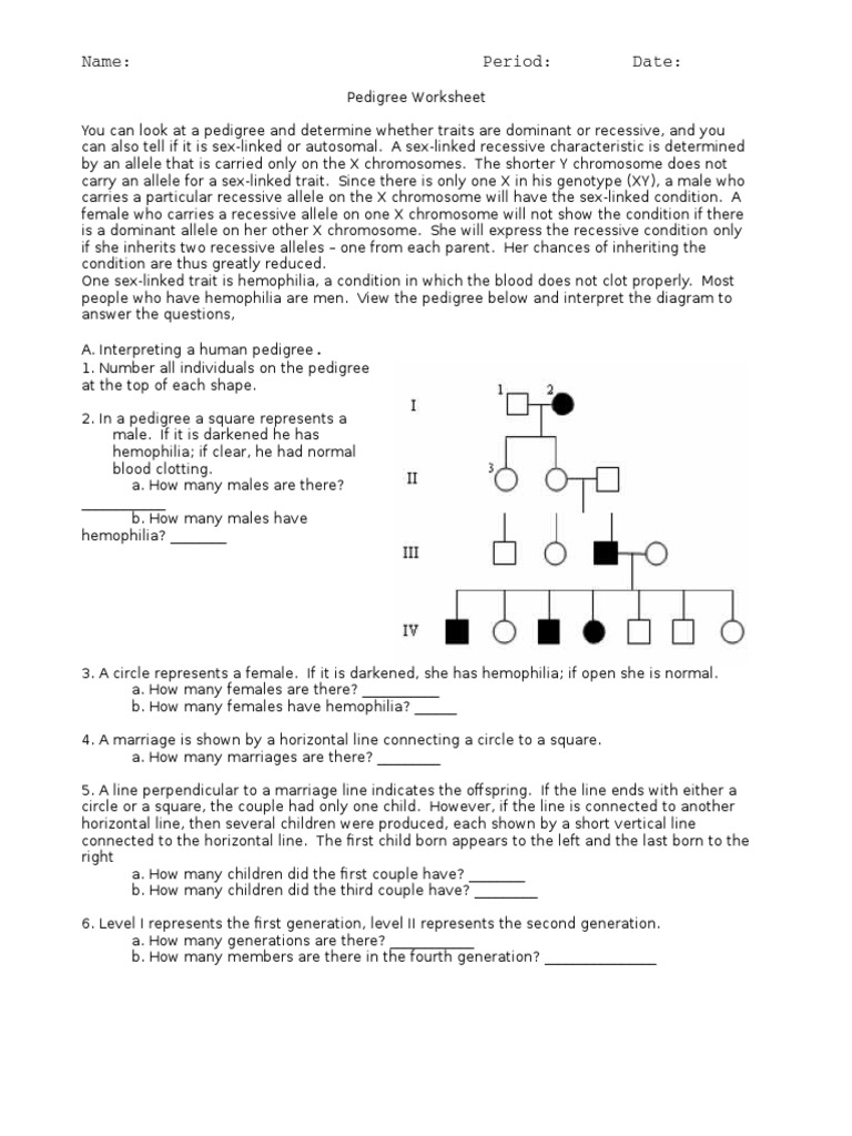 Interpreting a human pedigree worksheet PDF Dominance (Genetics