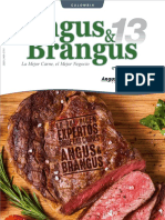 Revista Angus y Brangus-13 Edición - Dic.2016