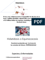 Hidatidosis 