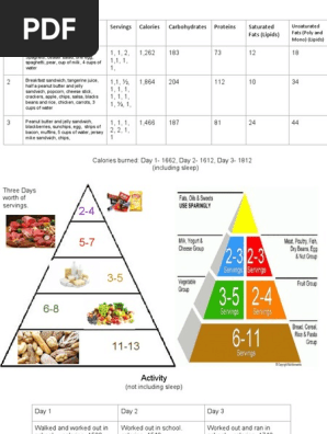food journal 