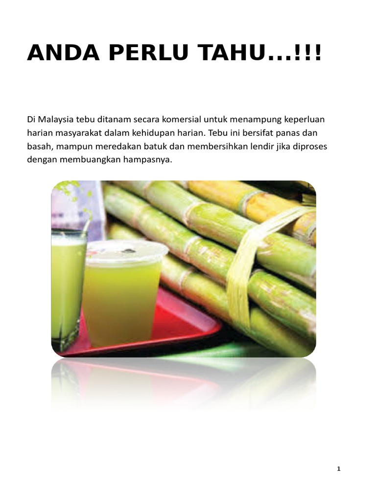 Kebaikan Tebu Pdf