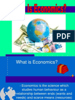 260416421 What is Economics Ppt