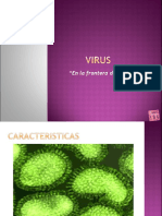 Virus 1