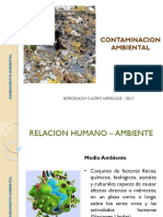 Contaminacion Ambiental