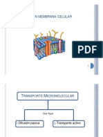 Tansporte_membranal