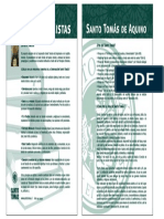 Principios Tomistas PDF