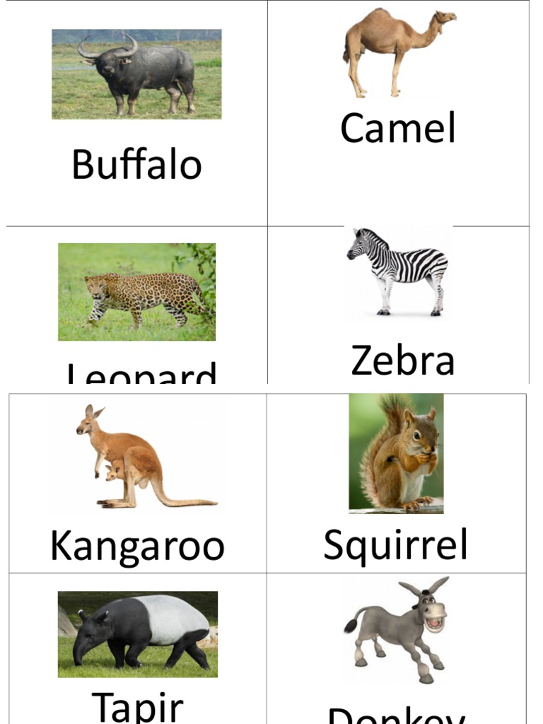 ANIMALS | PDF