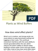 Plants As Wind Buffers