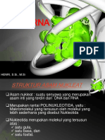 Pertemuan 8-DNA & RNA