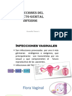 Infecciones Del Tracto Vaginal Inferior