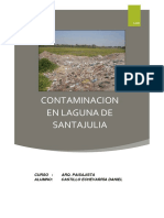 Contaminacion en Laguna de Santa Julia