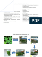 Cara Membuat Pestisida Nabati Dari Daun Pepaya