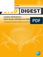Digest: Canine Ehrlichiosis - From Acute Infection To Chronic Disease