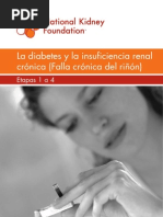 Diabetes e Insuficiencia Renal
