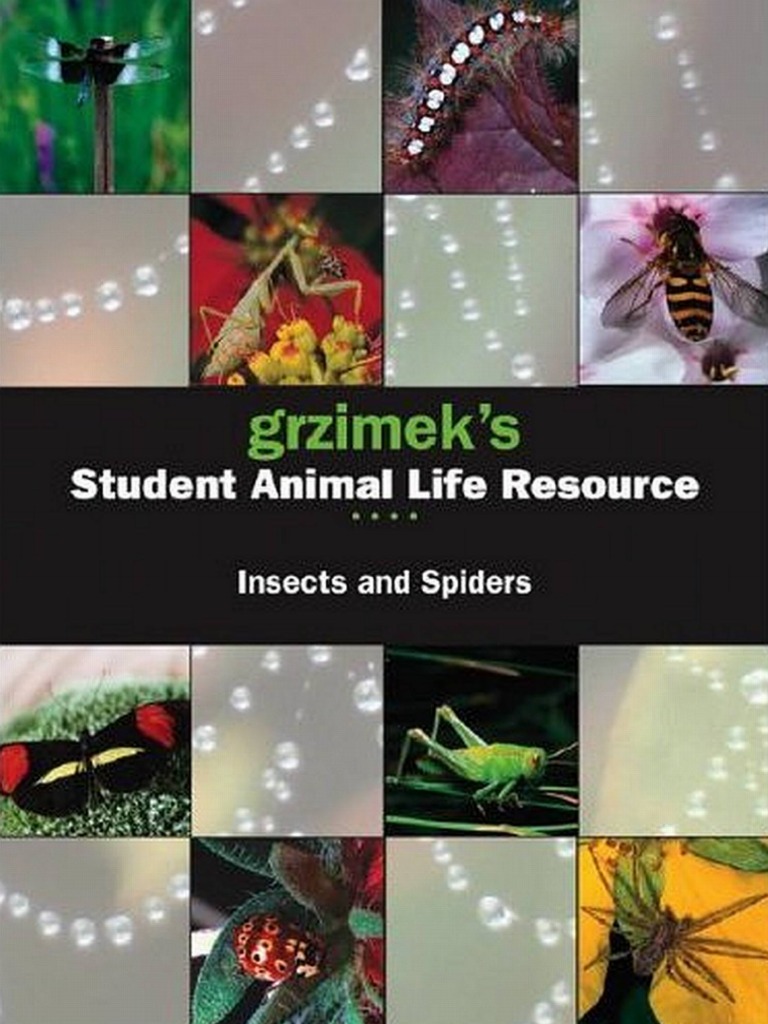 Grzimek S Salr Insects And Spiders Pdf Fossil Insects