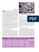 Concrete Construction Article PDF: Fly Ash