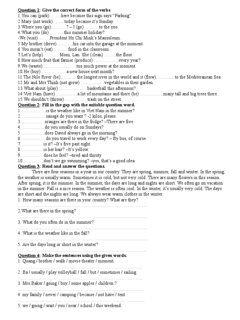 English Grammar Exercises for Beginners | PDF | Foods