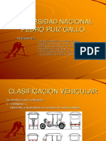 Diapositivas de RNV