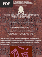Download EXX-TETAN_23112009 by Marce Raf De Lindentle SN37051572 doc pdf
