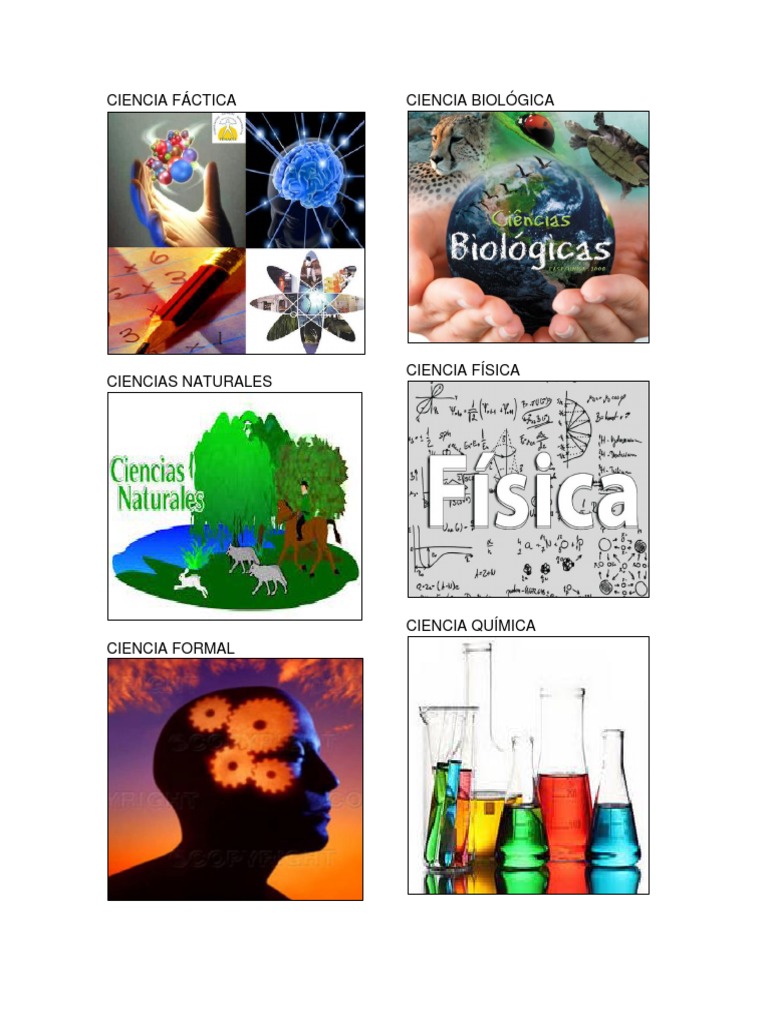 La ciencia Factica