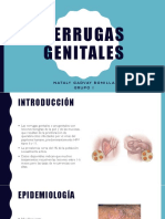 Verrugas Genitales