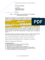 Caso 1 PL PDF