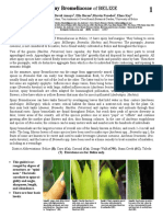 Spiny Bromeliaceae of BELIZE-2017.pdf