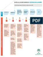 Hoja Ruta Atencion Paciente Quirurgico
