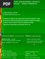 0plante_avasculare