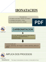 CARBONATIZACION.pdf