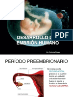 Desarrollo Del Embrion Humano