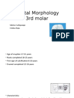 Dental Morphology 3rd Molar: Sabrina Cachiguango Cristina Rojas