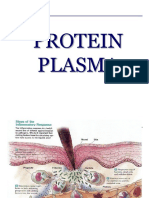 Protein Plasma