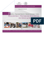 Ppi Doc Tecnico Docentes 080118