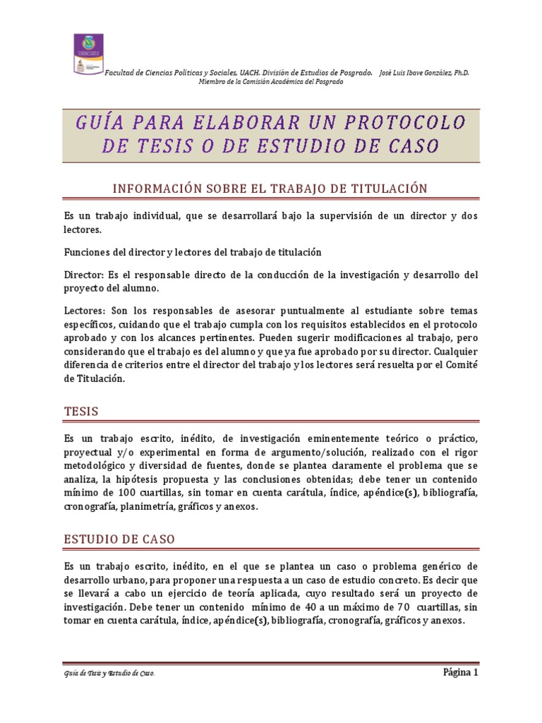 Guía para Tesis y Estudios de Caso | PDF | Caso de estudio | Toma de ...