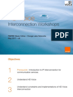 362999952-Interconnection-WS-HD-Voice-v6-0.pdf