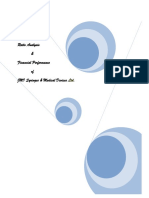 Intern Ratio Analysis PDF