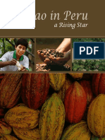 Cacao in Peru a Rising Star