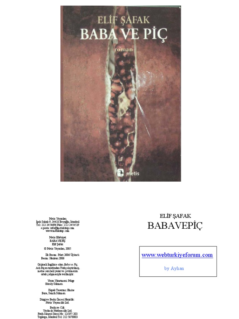 Elif Safak Baba Ve Pic Pdf