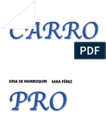 CARRO.pdf