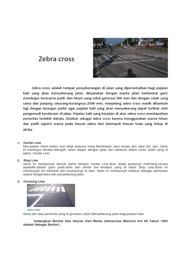Zebra Cross | PDF