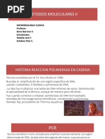 Metodos Moleculares II