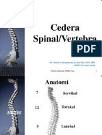 03-CEDERA SPINE & SPINALCORD 2017.pptx